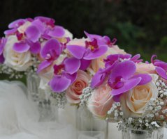 Svatba s orchidejemi