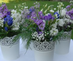 Svatba v Garden Parku