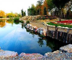 Svatba v Garden Parku