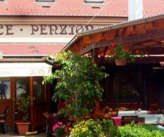 Letní luční svatba