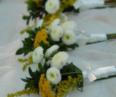 Letní sluníčková svatba