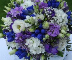 Svatba v Garden Parku