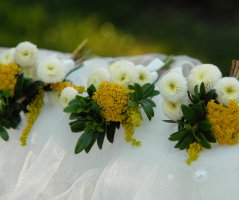 Letní sluníčková svatba