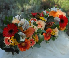 Podzimní svatba... Kristin hrádek