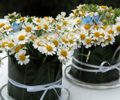 Svatba na Hrubé Skále