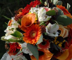 Podzimní svatba... Kristin hrádek