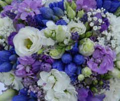 Svatba v Garden Parku