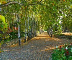 Svatba v Garden Parku