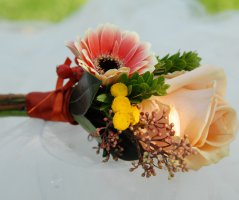 Podzimní svatba... Kristin hrádek