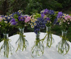 Luční svatba v přírodě