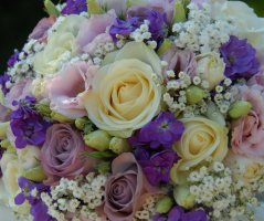 Svatba v Průhonicích