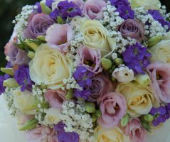 Svatba v Průhonicích