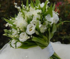 Konvalinková svatba v Nových Hradech