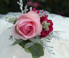 V malinových tónech