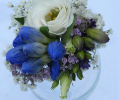 Svatba v Garden Parku