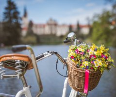 Svatba na kolech v Průhonicích