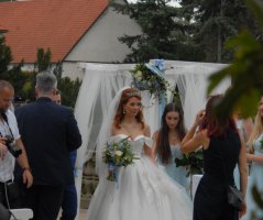 Bleděmodrá svatba v Průhonicích