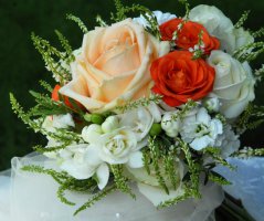 Na statku v Milovicíích