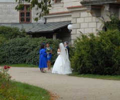 Bleděmodrá svatba v Průhonicích