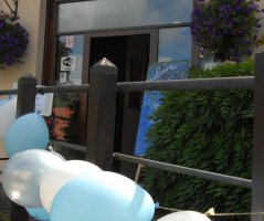 Bleděmodrá svatba v Průhonicích