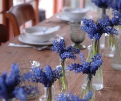 Modřencová nálada