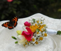 Velká luční svatba