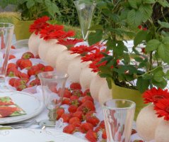 Jahodové potěšení