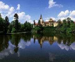 Svatba v Průhonicích