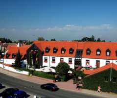 Svatba v Průhonicích