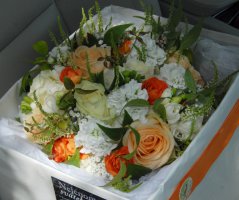 Na statku v Milovicíích