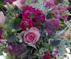 V malinových tónech