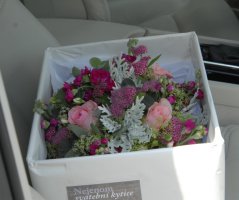 V malinových tónech