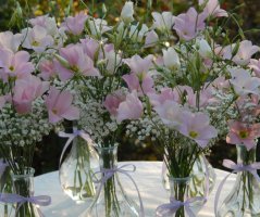 Svatba v Průhonicích