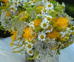 Letní sluníčková svatba