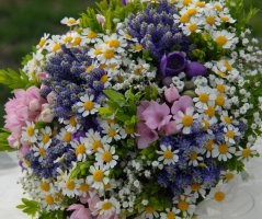 Luční svatba v přírodě