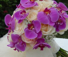 Svatba s orchidejemi