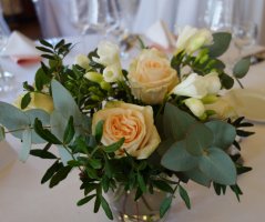 Slavnostní St.Havel