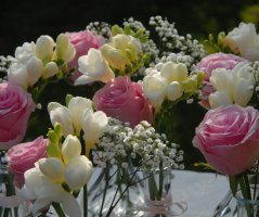 Letní luční svatba