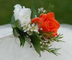 Rudé růže na Okoři