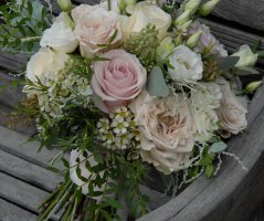 Svatba na zámku Mitrowicz