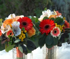 Podzimní svatba... Kristin hrádek