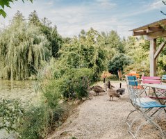 Dědkův mlýn a pivoňky