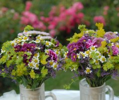 Luční svatba na louce