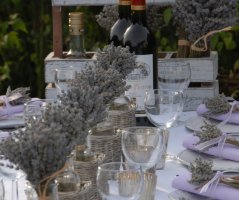 Pro milovníky Francie