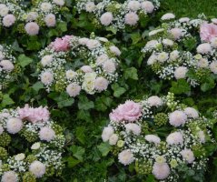 Svatba v Liblicích na zámku