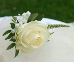 Chateau "Kravín" - pivoňková svatba