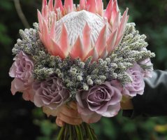 Luxusní a neotřelá