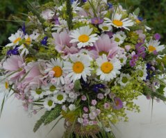 Luční kytice a svatba na Šumavě