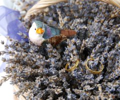 Pro milovníky Francie