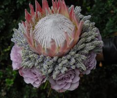 Luxusní a neotřelá